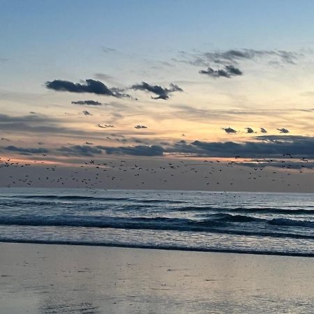 Chambre D Hote A La Plage De 15 M2 Le Manapany Camiers Esterno foto